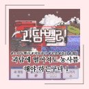 세광농장 | [스타듀밸리/리뷰] 괴담에 떨어져도 농사를 해야 하는구나 1 | 괴담출근 모드 추천 | 스포주의