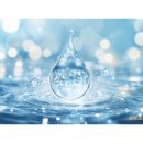 루체(LUCE) 이미지