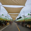 당두축산 네이버블로그