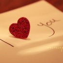 아름다운 개 이미지