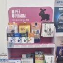 둥지약국 이미지