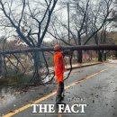 신효동-31 이미지