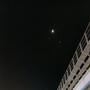 실시간 이미지