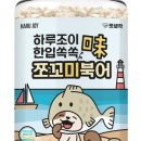 쪼꼬미펫 네이버블로그
