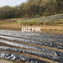 이가공인중개사사무소 이미지