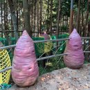 영도조내기고구마역사기념관 | 부산 영도 가볼만한 곳 조내기고구마역사기념관 카페 선생조고매 숲놀이터 아기랑 방문 후기