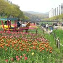 안산천1 이미지