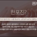 진인한의원 이미지