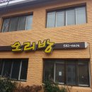금정오리 이미지