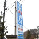 부흥카 이미지