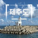 이호테우 비치해변 | 제주 이호테우해변 씨워커 체험 후기｜아이들과 특별한 제주 여행 첫날 (말등대 감성사진까지)
