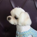 살롱드보떼(SALON DE BEAUTE) 이미지
