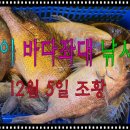 스카이 좌대낚시터 이미지