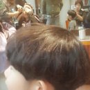 타니아헤어 이미지