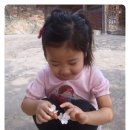 조이풀랜드 이미지