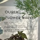 우보시장 | 우보플라워마켓 - 가정의달 강남꽃집