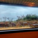 뜨락민박 이미지