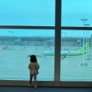 킹콩놀이샵 | 6살 아이와 모두투어 3박 5일 푸꾸옥 여행 일정