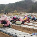 안동식품 이미지