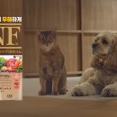 주식회사 금상 이미지