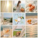 짠내단내 | [향수 후기] 🌼 산타마리아노벨라 엔젤 디 피렌체(엔젤 오브 플로렌스): 깨끗한 흰 천에 덮인 복숭아 바구니