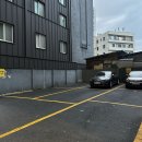 리버스주짓수킥복싱 이미지