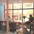 강아지 공화국 이미지