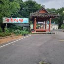 금호식당 - 영등포구 디지털로 461-2 | 화순 금호리조트 맛집 광주식당｜삼겹살 맛집 내돈내산 솔직후기