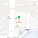 팀나인 주짓수,레슬링 이미지