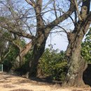 덕천초등학교 이미지