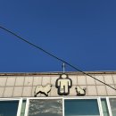 마이프렌즈 | <청주 고양이카페> 청주 우암동 마이펫프렌즈