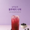폴바셋한남커피스테이션점
