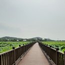 회산 이미지