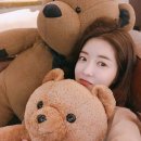 곰돌이식당 이미지
