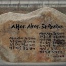 파랑새몰