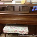 바이러스게임방 이미지