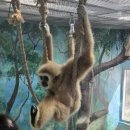 동백코스(서천-군산) | [충남 서천] 서천, 군산 가볼만한 곳 국립생태원 탐방기