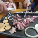 터미날21 이미지