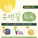 공감책방 | 6세 전집 추천/버니의 세계책방 선택한 이유와 한 달 완독 후기