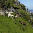 Mountain World 이미지