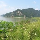백호물산 - 도봉구 | 백호물산