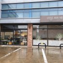 리틀 빈후 이미지