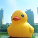 호수유통 이미지