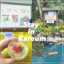 신흥2리마을 | 제주 동백마을 카름스테이 비누만들기 체험 및 쇠소깍 투어 후기