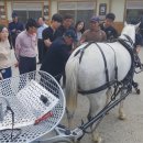 영천시운주산승마조련센터 이미지