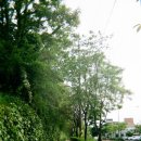 노타이틀 이미지