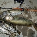 단양농협주유소 이미지