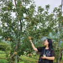 세현농자재 이미지