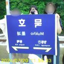 묵호역으로! 고향의맛손칼국수감자옹심이, 묵호 감성...날 어달해수욕장 스노클링 /샤워/튜브 대여 후기
