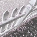 잎새바람 이미지